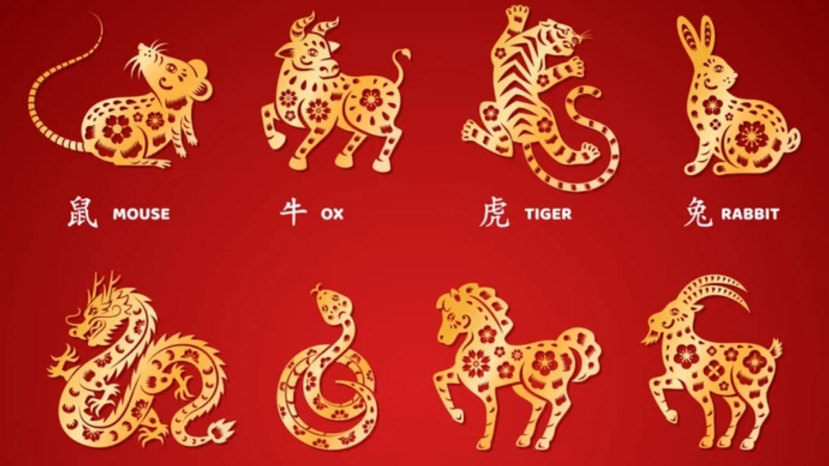 Asli 2026 01 04T114710.667