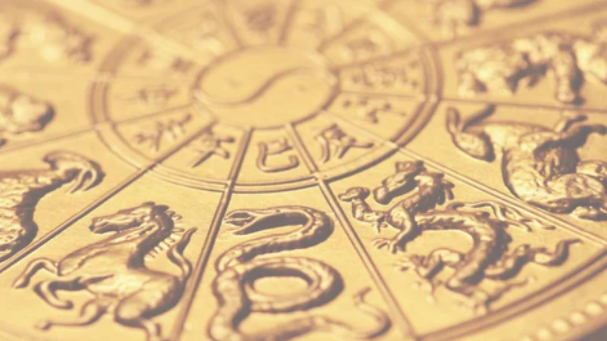 Asli 2026 01 04T114746.404