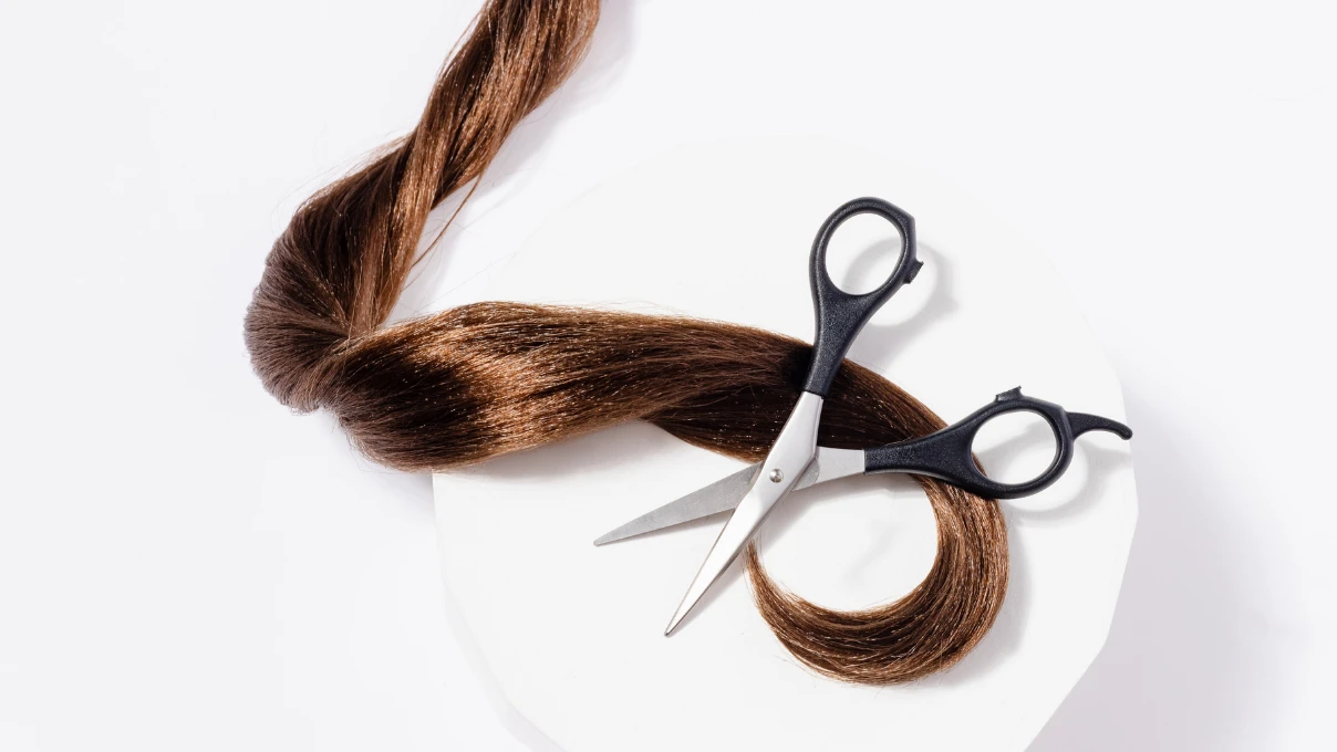 Asli 2026 01 09T152608.293