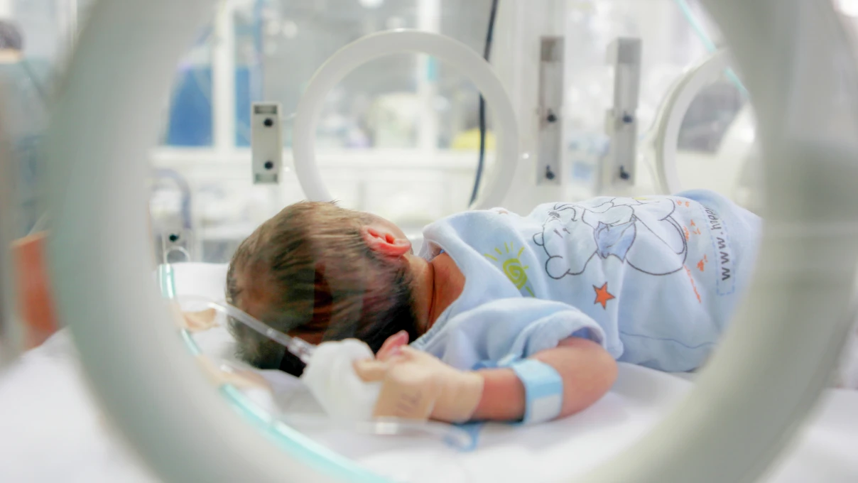 Asli 2026 01 14T150247.489