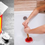 Asli 2026 01 15T095336.594