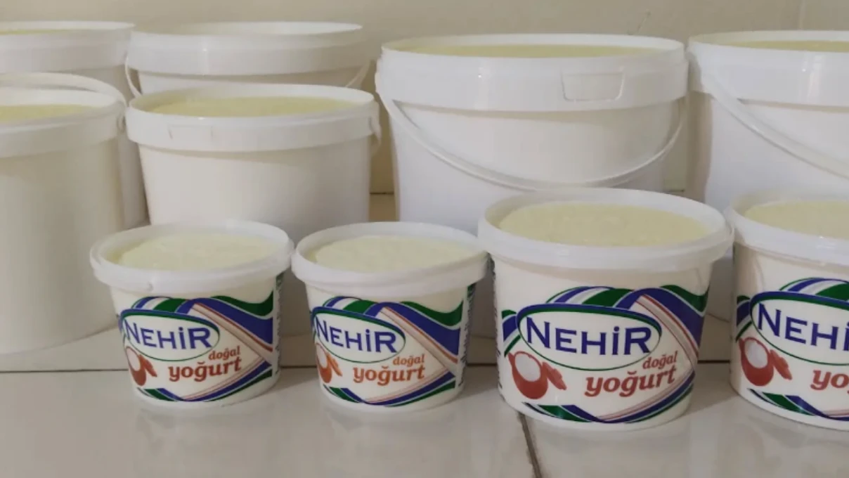 Asli 2026 01 23T115524.513