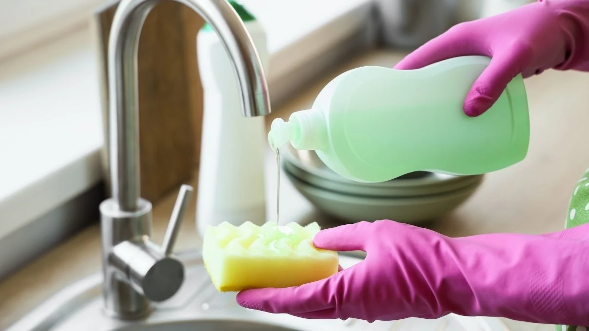 Canan Karatay uyardı! Evdeki havlu ve bulaşık süngerine dikkat 7 Canan Karatay uyardı! Evdeki havlu ve bulaşık süngerine dikkat