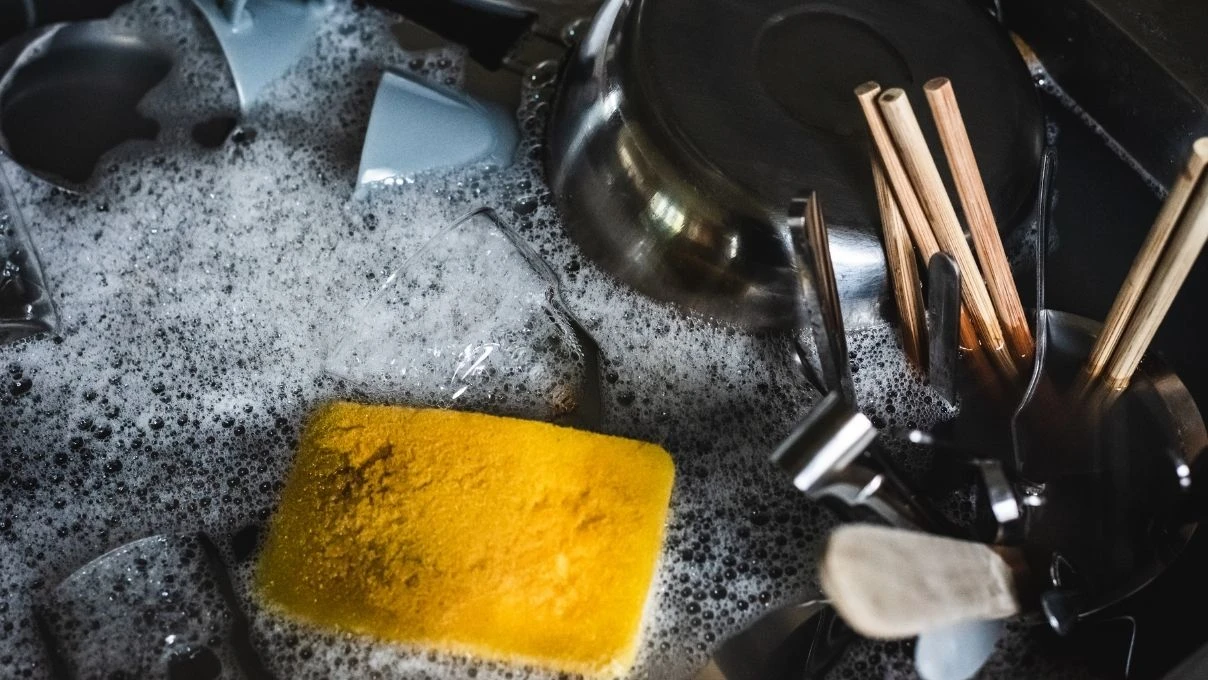 Canan Karatay uyardı! Evdeki havlu ve bulaşık süngerine dikkat 8 Canan Karatay uyardı! Evdeki havlu ve bulaşık süngerine dikkat