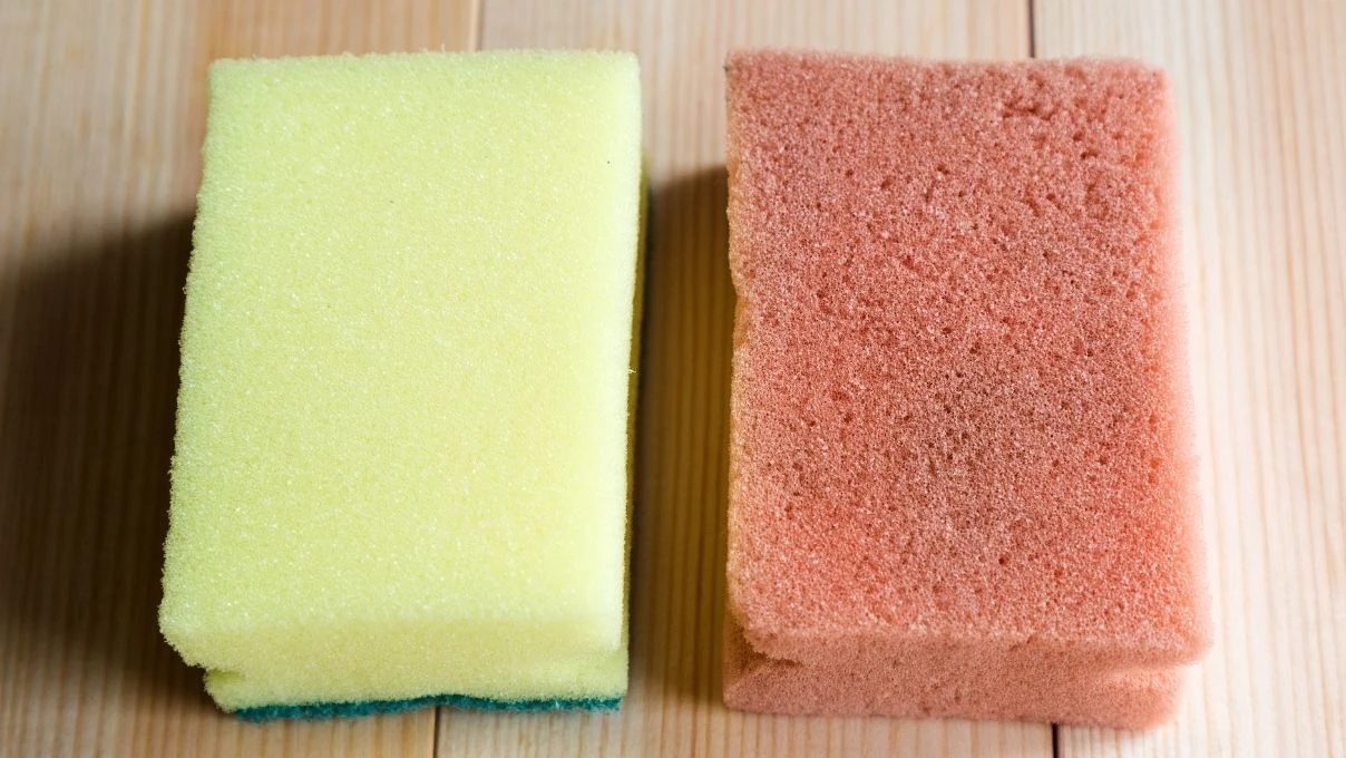 Canan Karatay uyardı! Evdeki havlu ve bulaşık süngerine dikkat 11 Canan Karatay uyardı! Evdeki havlu ve bulaşık süngerine dikkat