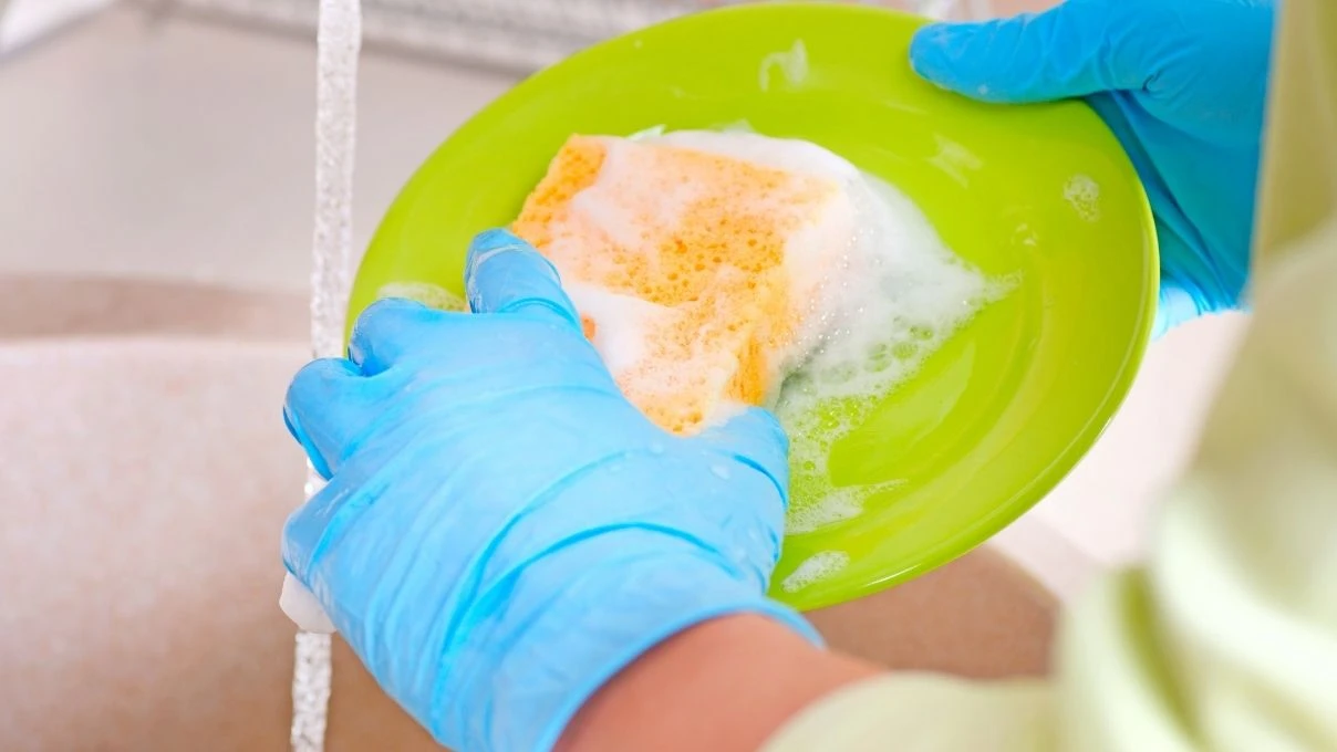 Canan Karatay uyardı! Evdeki havlu ve bulaşık süngerine dikkat 10 Canan Karatay uyardı! Evdeki havlu ve bulaşık süngerine dikkat