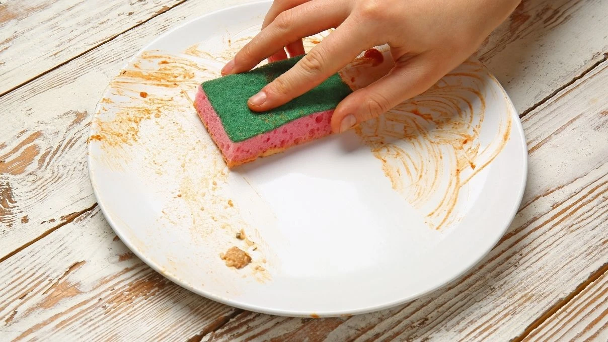 Canan Karatay uyardı! Evdeki havlu ve bulaşık süngerine dikkat 9 Canan Karatay uyardı! Evdeki havlu ve bulaşık süngerine dikkat