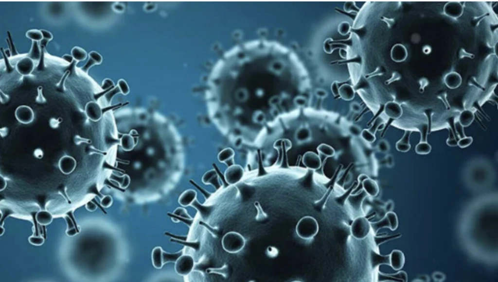 Ekran Resmi 2026 01 01 20.35.24