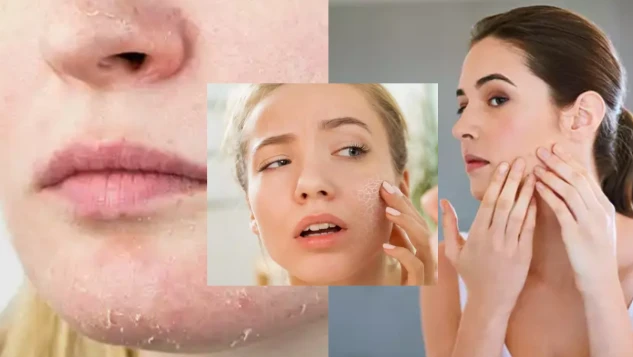 Ekran goruntusu 2026 01 11 013211