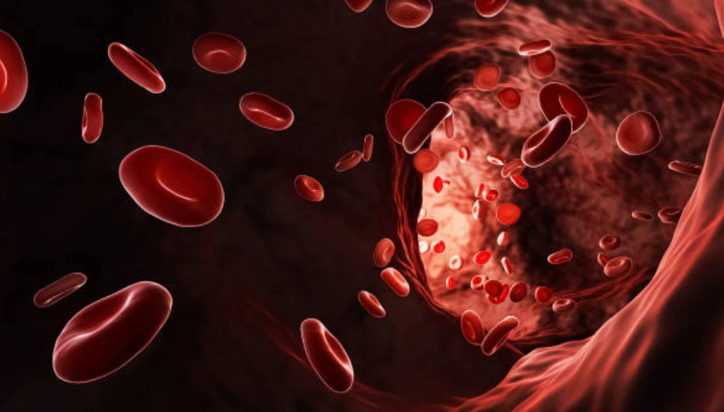 Ekran goruntusu 2026 01 25 121316