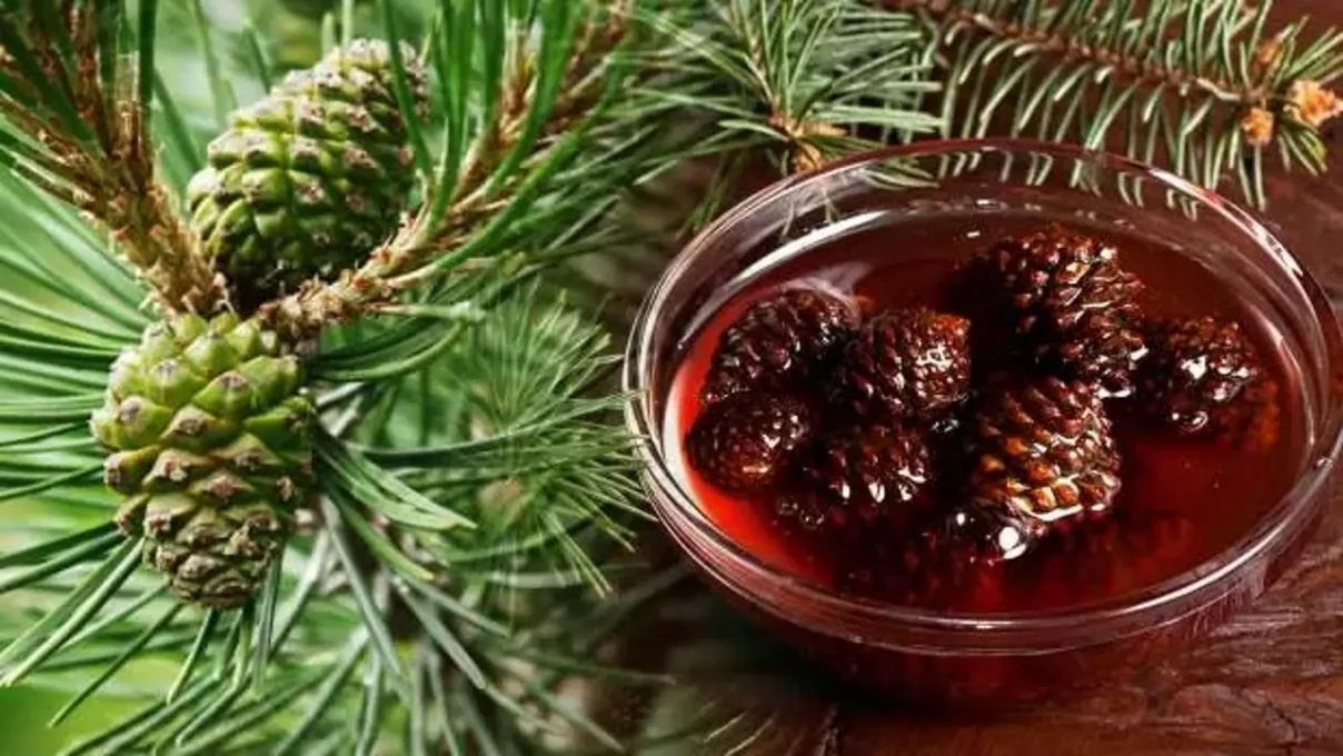 Göğüs ağrısının yumuşatın en iyi tarif pekmez karabiber karışımını unutun 4 KOZALAK SURUBU FAYDASI NELERDIR