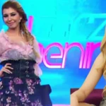 Melisa Sahin kimdir meslegi ne Mehmet Ali Erbilin eski sevgilisi Melisa Sahinin hayati arastiriliyor