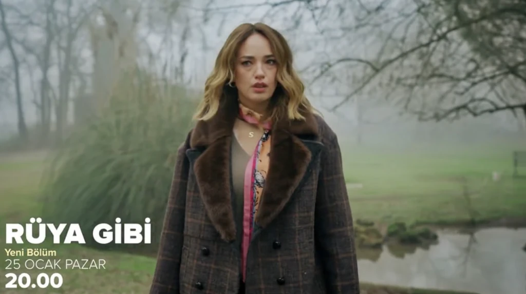 Rüya gibi dizisi final mi yapıyor, Rüya gibi neden yok