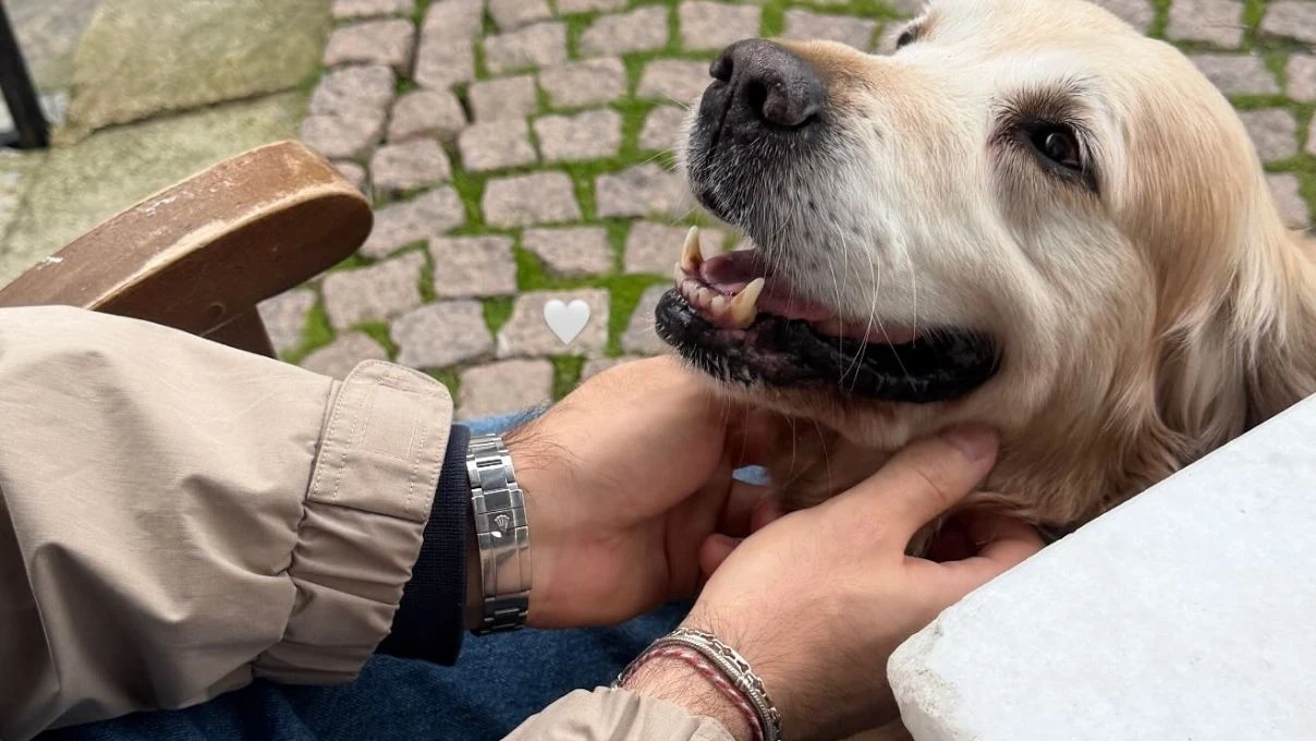 Şükrü Özyıldız ile ilişkisini noktalayan Sibil Çetinkaya yeni bir aşka yelken açtı! Aksel Muratyan ile birlikte olduğu iddia edildi