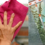 Yaz kis demeden pasparlak camlarin sirri Evde yapacaginiz karisimla silin