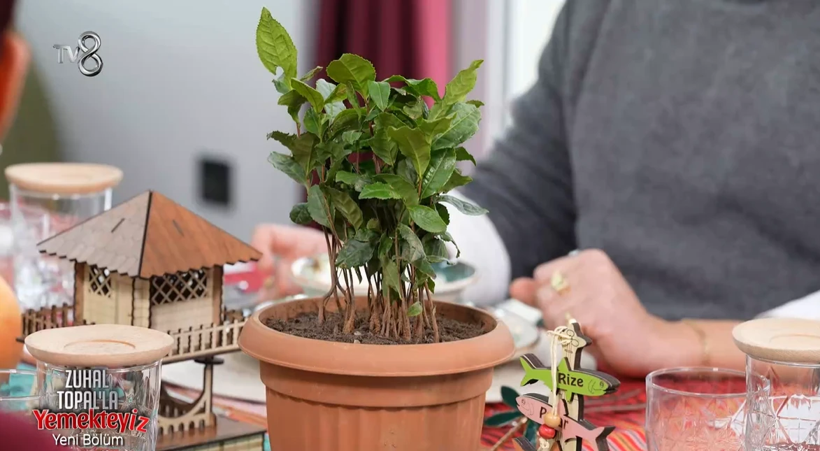 Zuhal Topalla Yemekteyiz 5