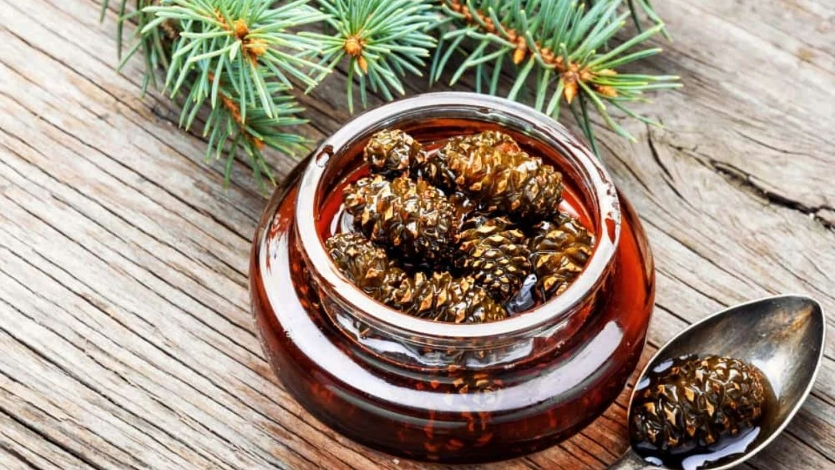 Göğüs ağrısının yumuşatın en iyi tarif pekmez karabiber karışımını unutun 8 evde kozalak surubu yapimi