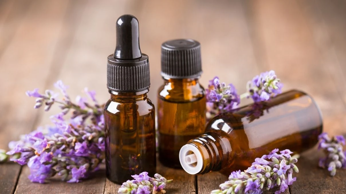 Göbek deliğine bir damla lavanta yağı dökün! Sonuçlara inanamayacaksınız