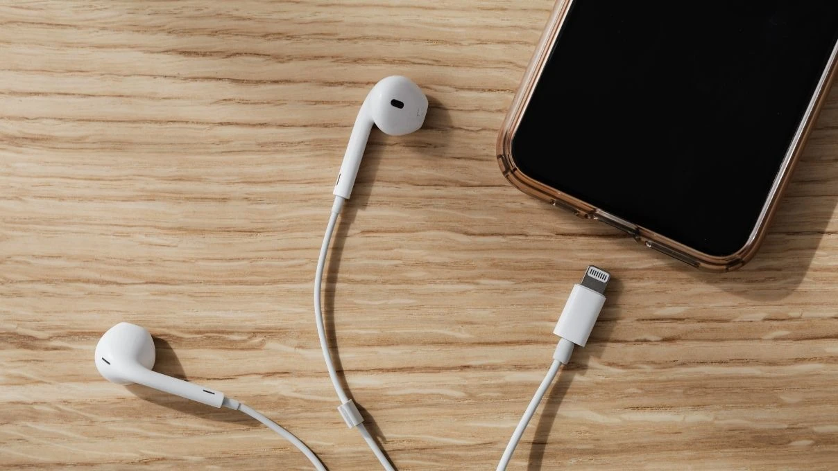 Kulaklıklarınızı çöpe atmadan önce bir kez daha düşünün! İçinden altın çıkıyor