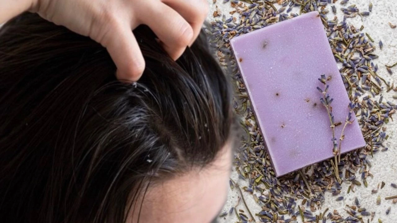 sac kepek kasinti s4mo cover zfta cover