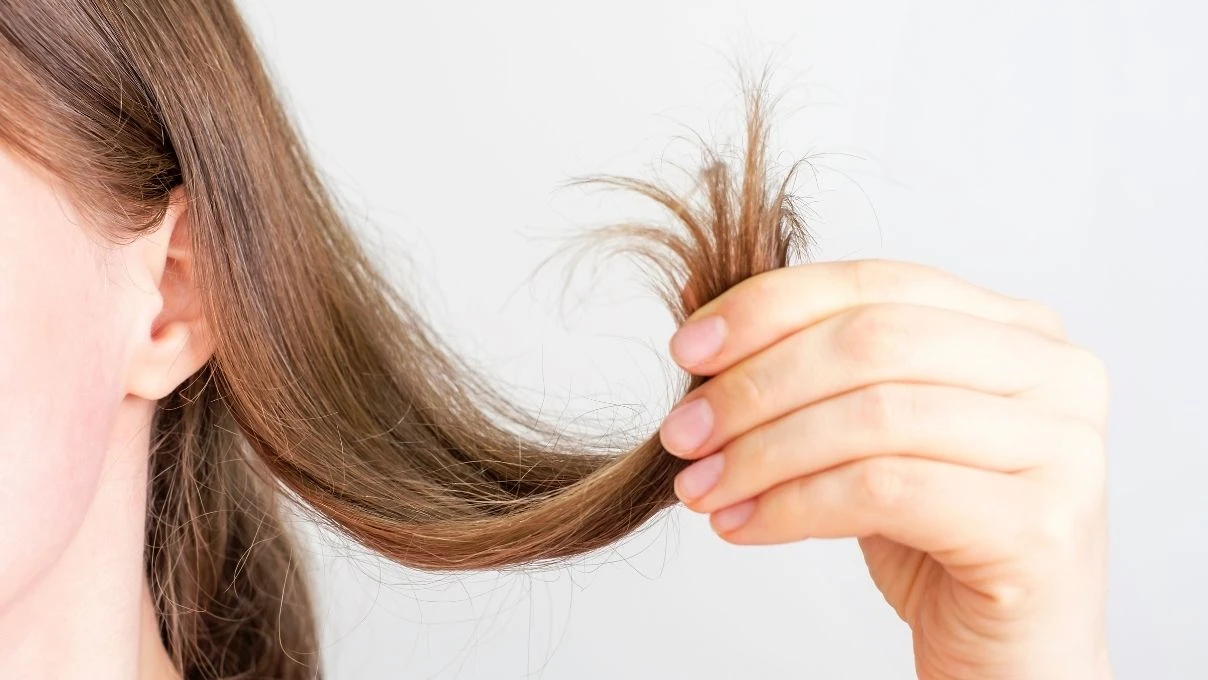 Saç uçlarındaki kırılmaları bitiren formül! Yumuşacık pamuk gibi olacak