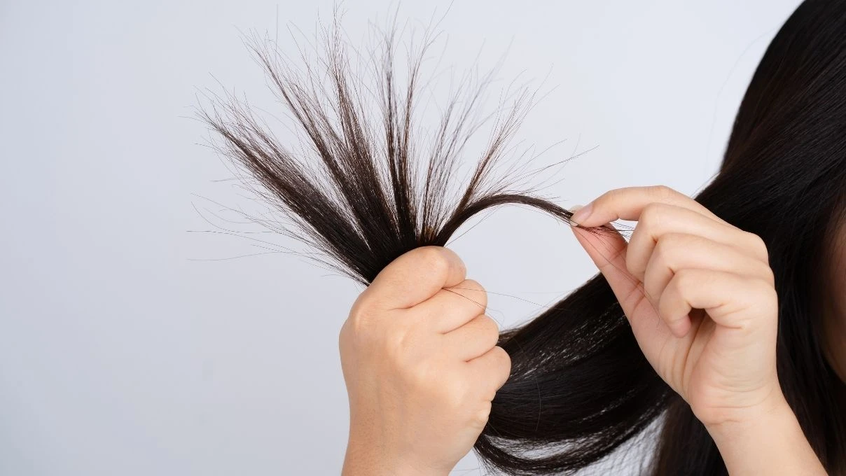 Saç uçlarındaki kırılmaları bitiren formül! Yumuşacık pamuk gibi olacak