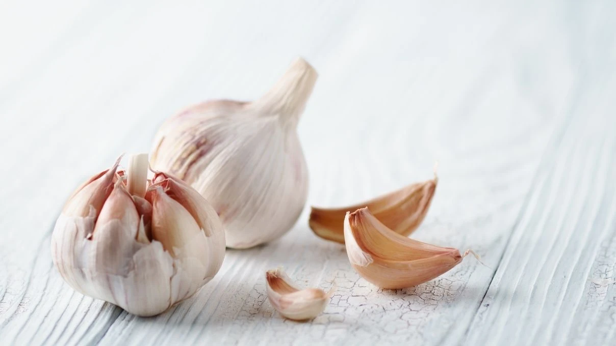 Sarımsak alırken dikkat! Diyetisyen Büşra Çalışkan Çin sarımsağı konusunda uyardı