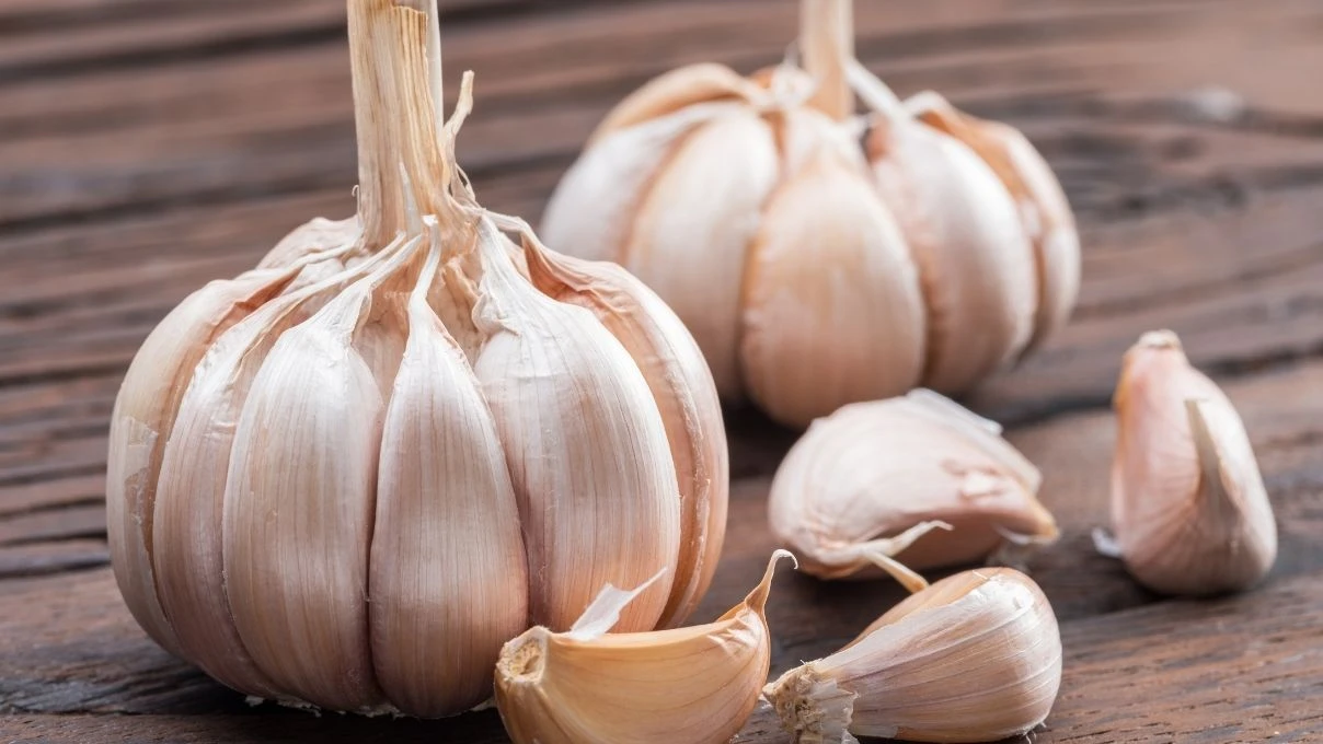 Sarımsak alırken dikkat! Diyetisyen Büşra Çalışkan Çin sarımsağı konusunda uyardı