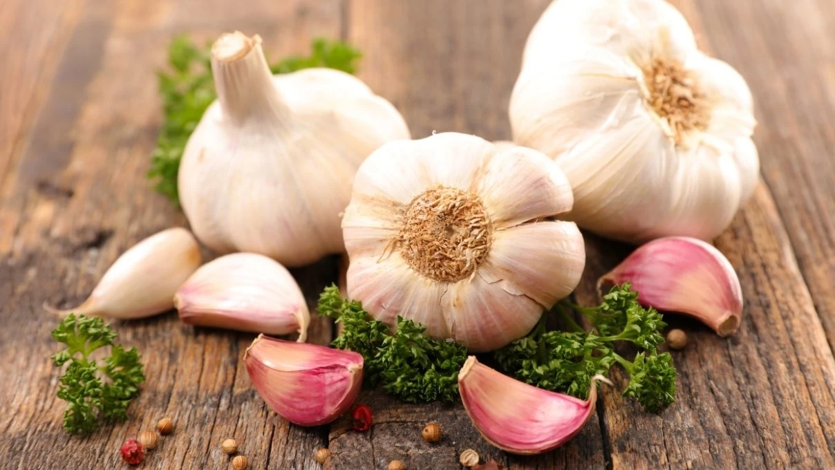 Sarımsak alırken dikkat! Diyetisyen Büşra Çalışkan Çin sarımsağı konusunda uyardı
