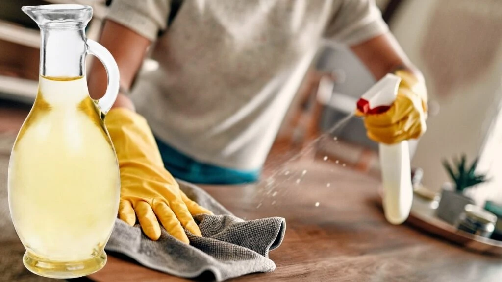 Temizlikte elma sirkesi mi, beyaz sirke mi? En çok merak edilen sorunun yanıtı