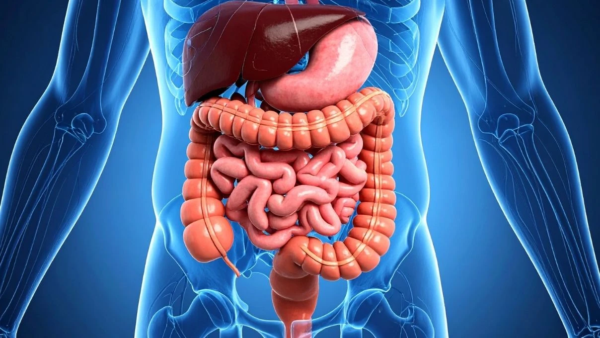 Gupse Özay'ın zayıflamasına neden olan ülseratif kolit hastalığının belirtisine dikkat! Günümüzde yaygın