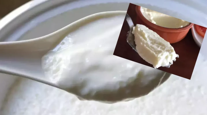 yoğurt mayası tutmazsa ne olur?