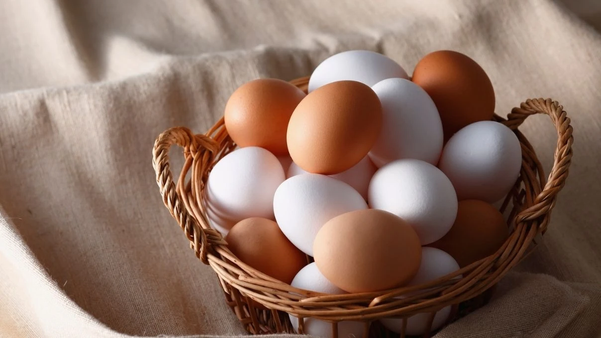 Farklı tarif arayanlar! Kahvaltıda 2 yumurta ile yapabilecekleriniz