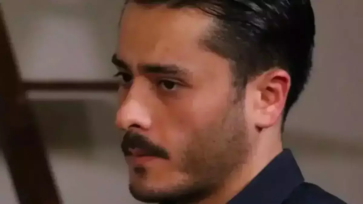 6740b7e729466d251bdbbbb6