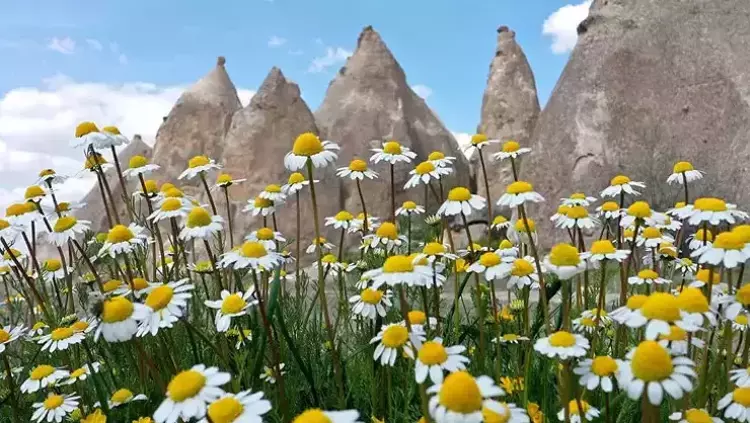 697b18f82e3e9a61f64f77cf