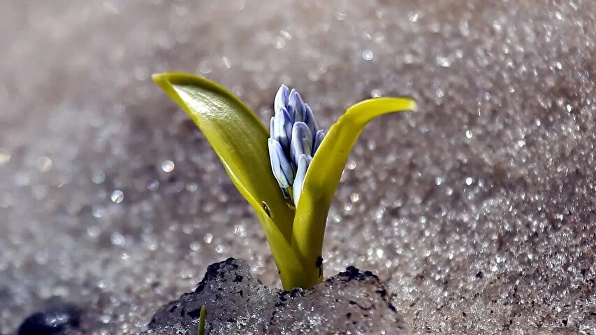 80a0fa03 gj55ab83o9lon3ga9rkqks