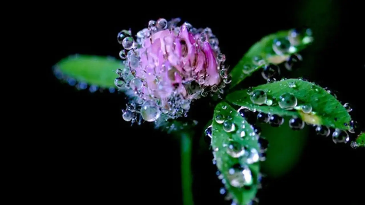 9bb14127 cemre dusmesi ilk cemre 5