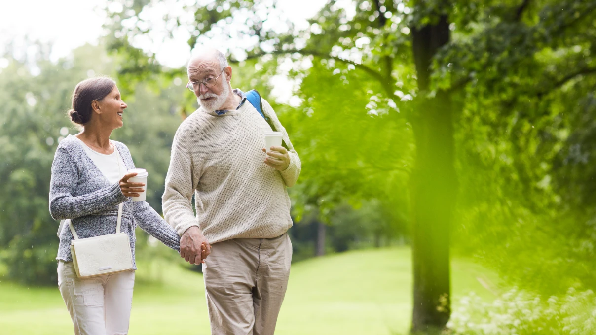 Asli 2026 02 10T103939.721