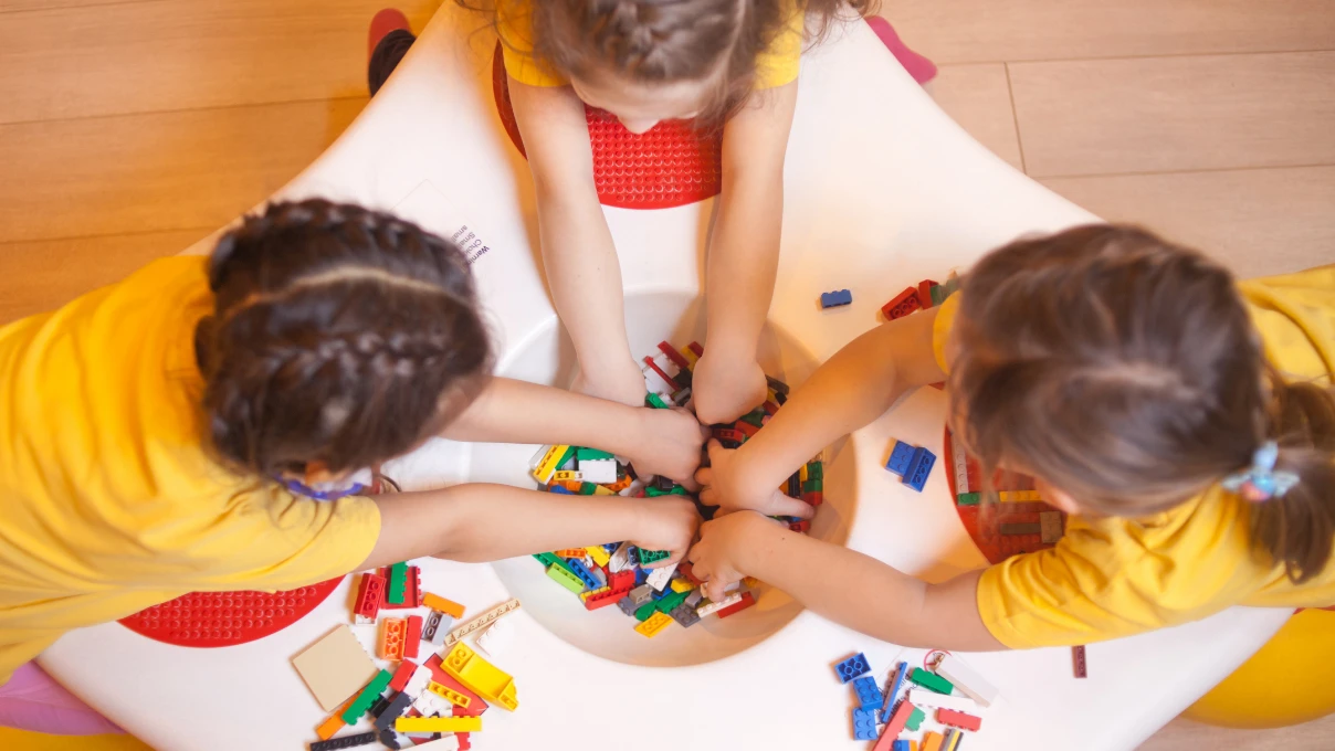 Asli 2026 02 11T124950.531