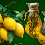 Asli 2026 02 12T095527.886