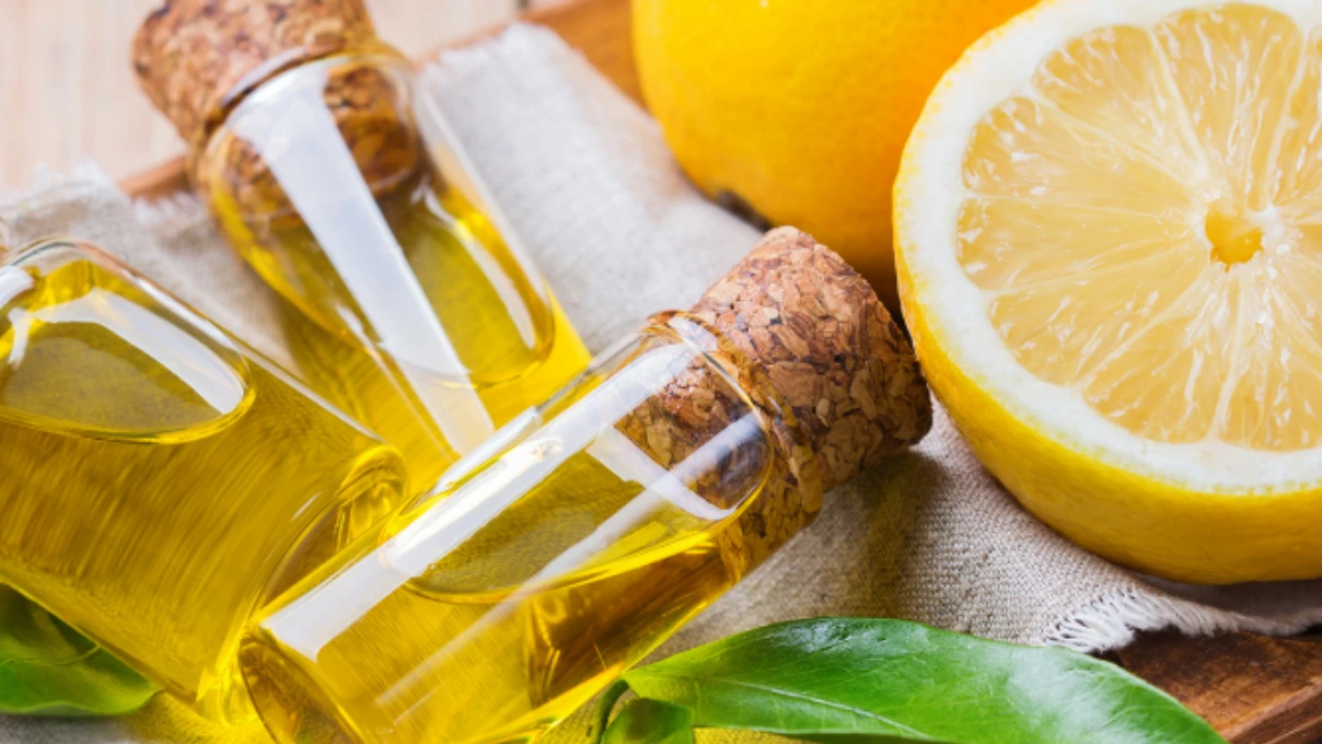 Asli 2026 02 12T095744.659