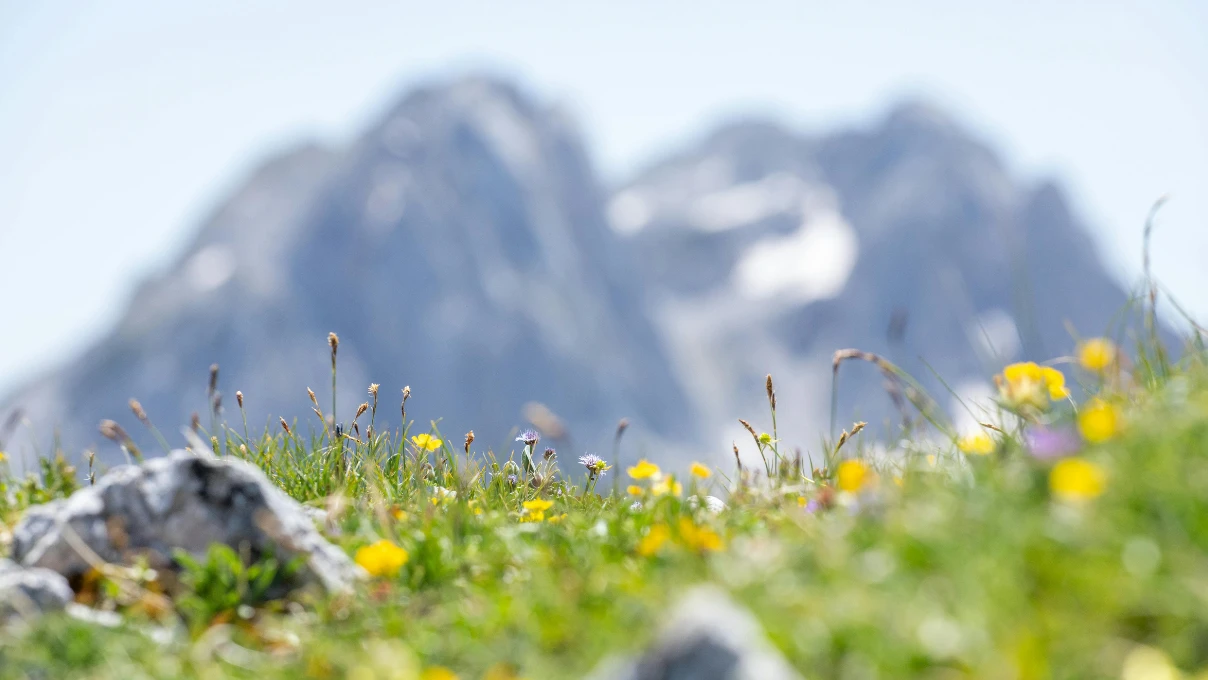 İkinci cemre düştü mü? 2026 ikinci cemre nereye düşecek? 4 Asli 2026 02 12T115307.523