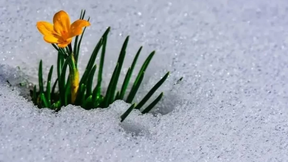 İkinci cemre düştü mü? 2026 ikinci cemre nereye düşecek? 7 Asli 2026 02 12T133936.696