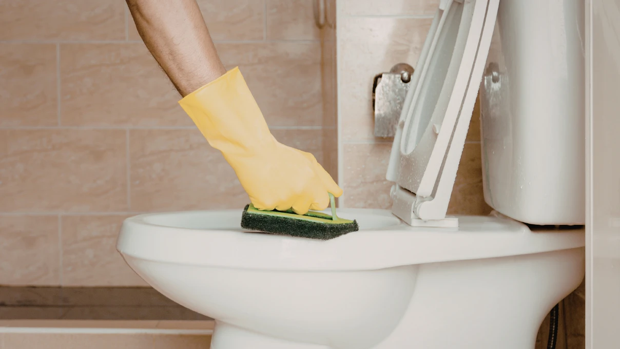 Asli 2026 02 25T154624.616