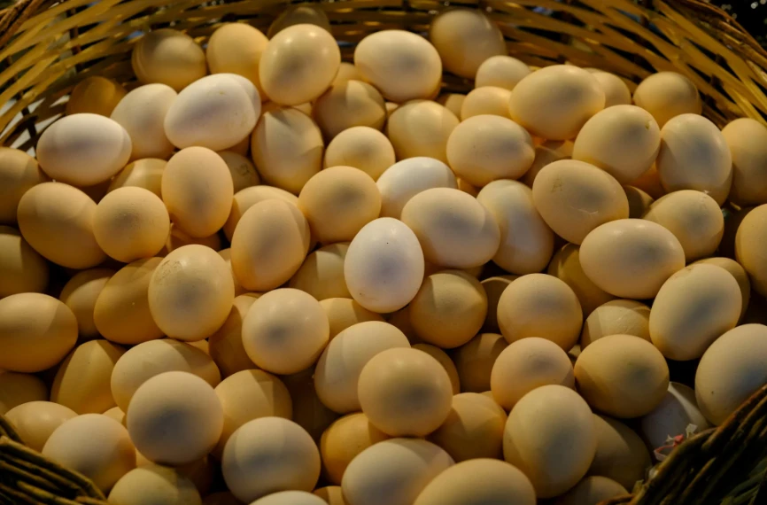 Ekran goruntusu 2026 02 01 104852