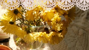 Evin her yerini süsleyen dantel modelleri