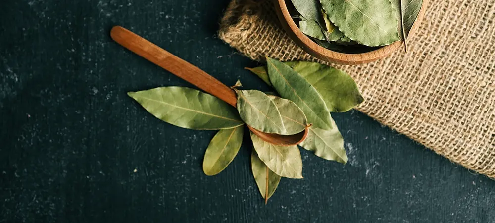 defne yapragi 23 29003 WebImage b