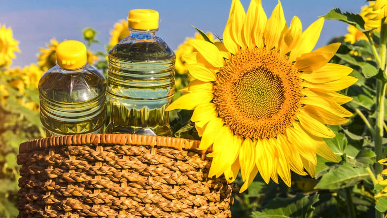 Evinde bu ürünleri olanlar varsa dikkat! Diyetisyen Büşra Çalışkan tek tek sıraladı 8 ev 4