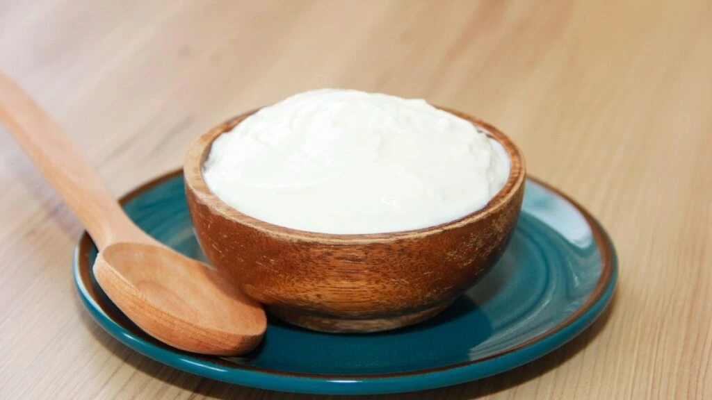 Köy yoğurdunu evde yapabilirsiniz! Taşacak gibi kaymaklı tarif