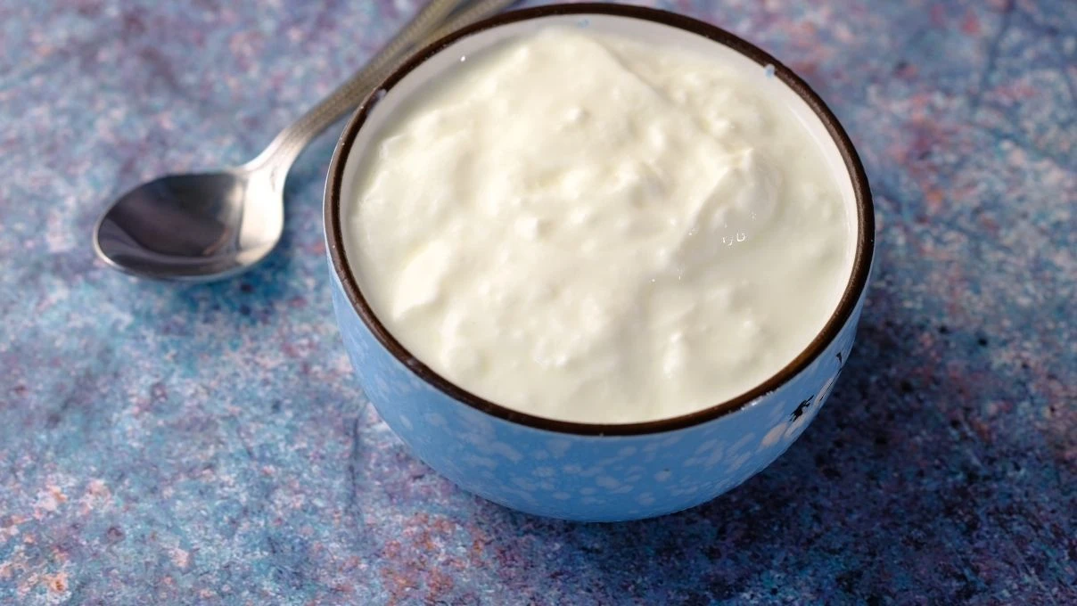 Köy yoğurdunu evde yapabilirsiniz! Taşacak gibi kaymaklı tarif